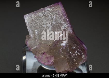 Makro-violette kubische Fluorit-Kristallhaufen isoliert auf schwarzem Hintergrund Stockfoto