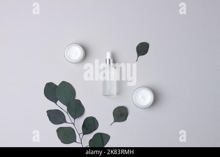 Kosmetische Hautpflegeprodukte mit Eukalyptus auf grauem Hintergrund. Flach liegend Stockfoto