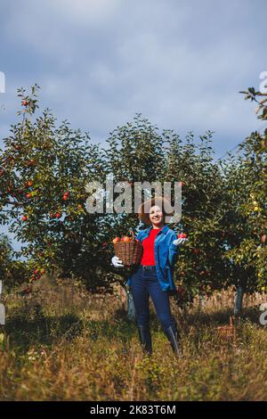 Eine junge Frau im Hut, eine Arbeiterin im Garten, trägt rote reife Äpfel in einem Weidenkorb. Apfelernte im Herbst. Stockfoto