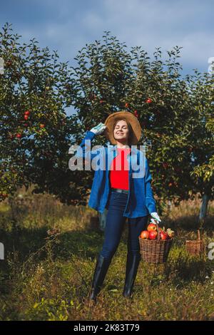 Eine junge Frau im Hut, eine Arbeiterin im Garten, trägt rote reife Äpfel in einem Weidenkorb. Apfelernte im Herbst. Stockfoto