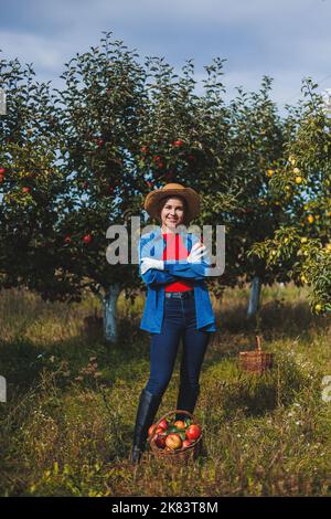 Eine junge Frau im Hut, eine Arbeiterin im Garten, trägt rote reife Äpfel in einem Weidenkorb. Apfelernte im Herbst. Stockfoto