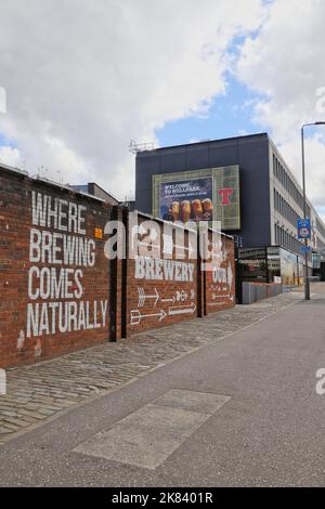 Ausschnitt aus Tennents Wandbild an der Außenwand der Tennent Caledonian Breweries von smug (Sam Bates) Glasgow Scotland Juli 2022 Stockfoto