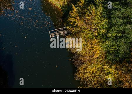 Alte hölzerne Maulwurfsbrücke auf dem See, umgeben von Bäumen im Herbst Stockfoto