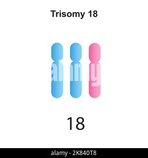 Wissenschaftliche Entwicklung des Edwards-Syndroms (Trisomie 18). Bunte Symbole. Vektorgrafik. Stock Vektor