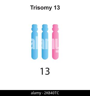 Wissenschaftliche Entwicklung des Patau-Syndroms (Trisomie 13). Bunte Symbole. Vektorgrafik. Stock Vektor