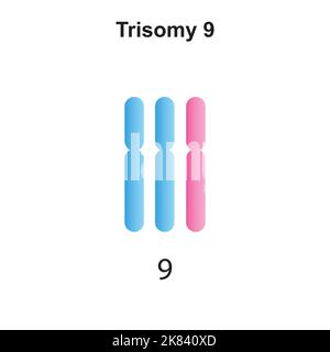 Wissenschaftliche Gestaltung der Trisomie 9. Bunte Symbole. Vektorgrafik. Stock Vektor