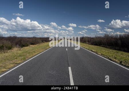 Route in der Pampas-Ebene, Patagonien, Argentinien Stockfoto