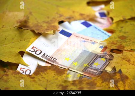 Euro-Banknoten, die mit orangefarbenen Ahornblättern bedeckt sind. Wirtschaft Europas im Herbst, Wechselkurs Stockfoto