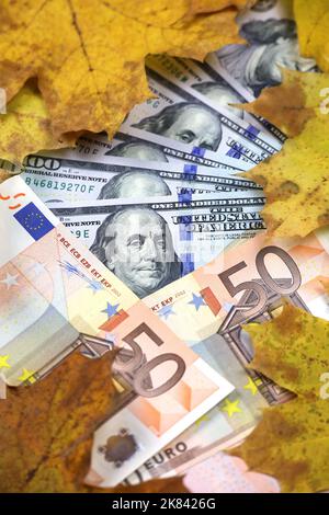 US-Dollar- und Euro-Banknoten mit gelben Ahornblättern bedeckt, vertikaler Schuss. Amerikanische und europäische Wirtschaft zum Herbstkurs Stockfoto