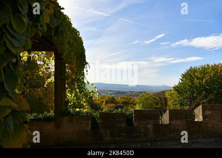 Buntes Herbstlaub im Sonnenlicht Stockfoto