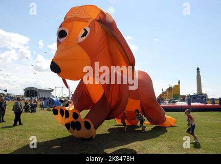 Ein riesiger Hundedrachen steigt beim jährlichen Drachenbfestival an der Küste von Southsea, Hants, vom Boden. PIC Mike Walker,2015 Mike Walker Pictures Stockfoto