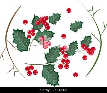 Set aus Ästen und Stechbeeren, isoliert auf weißem Hintergrund. Designelemente, Cliparts für die Weihnachtsdekoration. Vektorgrafik. Stockfoto