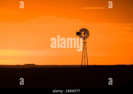 Sonnenuntergang in Pampas, Provinz La Pampa, Patagonien, Argentinien. Stockfoto