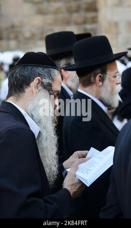 Jüdische Männer beten an der Klagemauer / Westmauer im jüdischen Viertel in der Altstadt von Jerusalem, Israel. Stockfoto