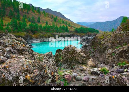 Stromschnellen von Orocto am Katuni River. Felsige Ufer eines Gebirgsflusses mit smaragdgrünem Wasser. Altai-Republik, Sibirien, Russland, 2022 Stockfoto