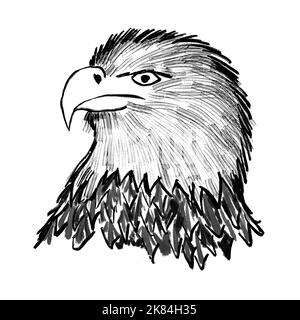 Handgezeichnete Illustration eines amerikanischen Weißkopfseeadlers. Seeadler, Tierarten, Monocrome-Design mit schwarzer Linie, Kopffedern, Schnabel, elegantes minimalistisches Tintendesign Stockfoto