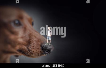 Kleiner Junge auf der Hundenase Stockfoto