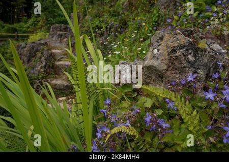 Botanischer Garten Der Stiftung André Heller Stockfoto