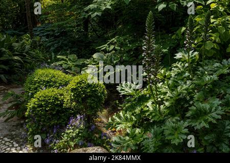 Botanischer Garten Der Stiftung André Heller Stockfoto