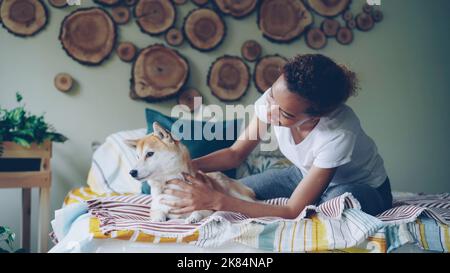 Attraktive afroamerikanische Mädchen streichelte niedlichen shiba Inu Hund liegt auf dem Bett zu Hause in schön dekorierten Schlafzimmer. Tiere, Jugendliche und Raumkonzept. Stockfoto