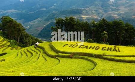 23. September 2022: Majestätische terrassenförmige Felder im Mu Cang Chai Bezirk, Yen Bai Provinz, Vietnam. Reisfelder bereit für die Ernte im Nordwesten Vietns Stockfoto