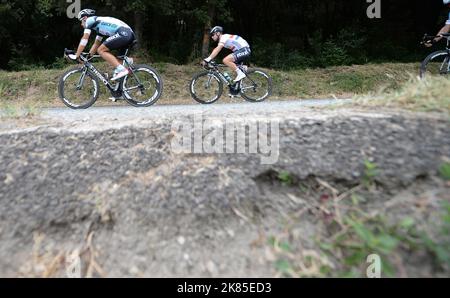 Der britische Meister Mark Cavendish, das Team Omega Pharma Quickstep fährt in der fünften Etappe durch die Weinberge der Provence und gewinnt die Etappe in Marseille im Sprint. Stockfoto