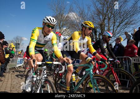 IAM Cyclings Heinrich Haussler in den Goldbands des australischen Straßenrennmeisters sitzt sicher im Bund bei der ersten Steigung des oude de kwaremont Stockfoto