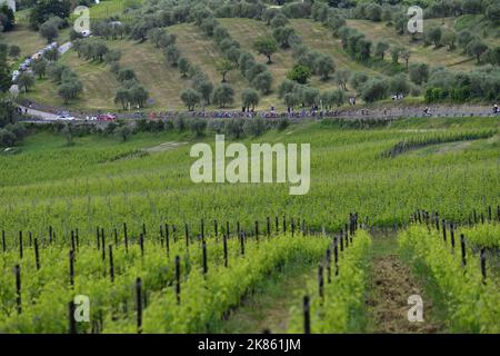 Eine allgemeine Ansicht des Feldes während der Etappe 11 des Giro d'Italia, von Firenzano - Bagno di Romagna Stockfoto