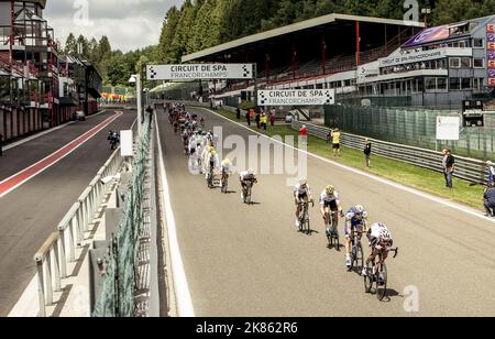 Das Peleton navigiert auf der Rennstrecke von Spa-Francorchamps auf der Rennetappe 3. der Tour de France 2017, Verviers in Belgien bis Longwy in Frankreich Stockfoto