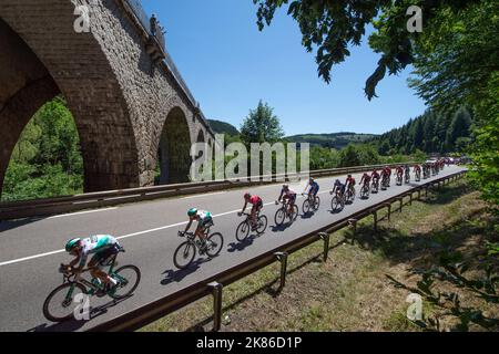 Das Verfolgerfeld unter einer Torbogenbrücke während der Tour de France 2019 Etappe 5 - Saint-die-des-Vosges nach Colmar Stockfoto