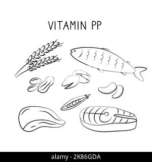 Vitamin B3 Niacinamid Vitamin PP Niacin Nicotinamid. Gruppen von gesunden Lebensmitteln, die Vitamine enthalten. Set aus Obst, Gemüse, Fleisch, Fisch und Dair Stock Vektor