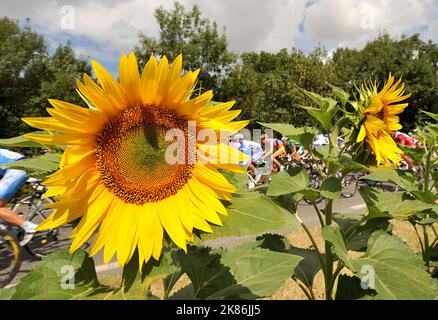 Die Tour geht weiter durch den Beginn der Bergbühne Stockfoto