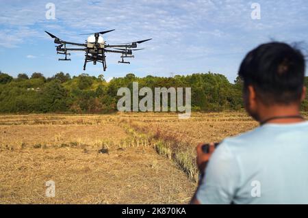 Nanchang, Chinas Provinz Jiangxi. 20. Oktober 2022. Ein Techniker betreibt eine Drohne zur Verbreitung von Raps im Dorf Shangban der Gemeinde Luoting in der Stadt Nanchang, ostchinesische Provinz Jiangxi, 20. Oktober 2022. Quelle: Wan Xiang/Xinhua/Alamy Live News Stockfoto