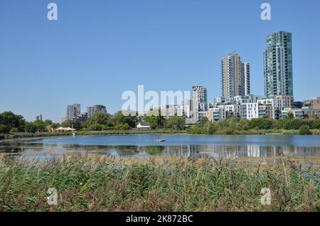 Woodberry Wetlands am East Reservoir in Stoke Newington, London. Es ist ein Naturschutzgebiet am südlichen Ende des New River. Stockfoto