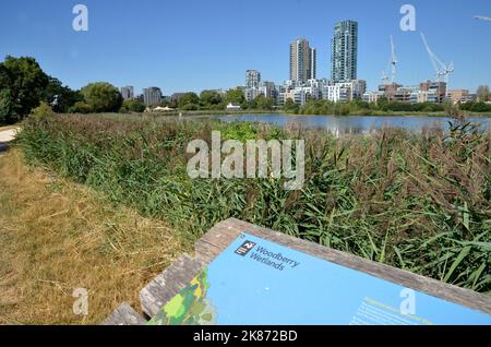 Woodberry Wetlands am East Reservoir in Stoke Newington, London. Es ist ein Naturschutzgebiet am südlichen Ende des New River. Stockfoto