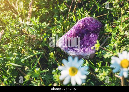 Amethyst Druse Kristall auf grünem Naturrasen und Gänseblümchen im Freien Hintergrund mit Kopieplatz. Heilung, Meditation lila Edelstein. Stockfoto