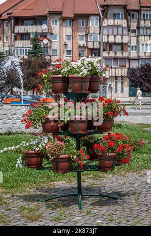 Schöne rustikale Blumenarrangements im Park Stockfoto