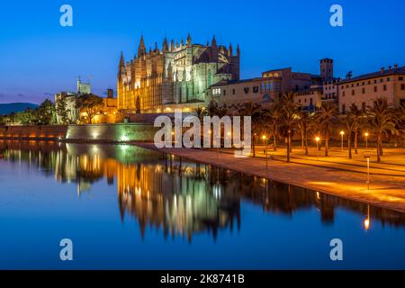 Catedral de Palma (Kathedrale von Palma) bei Nacht, Palma, Mallorca, Balearen, Spanien, Mittelmeer, Europa Stockfoto