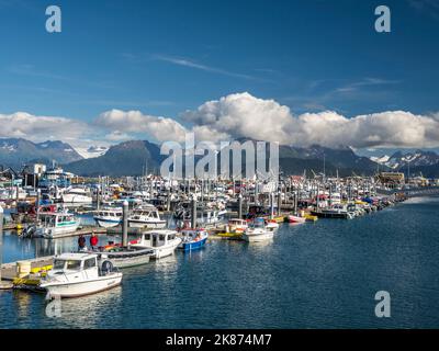 Kommerzielle Fischerboote aller Art und Größen in Homer Harbour in Kachemak Bay, Kenai Peninsula, Alaska, Vereinigte Staaten von Amerika, Nordamerika Stockfoto
