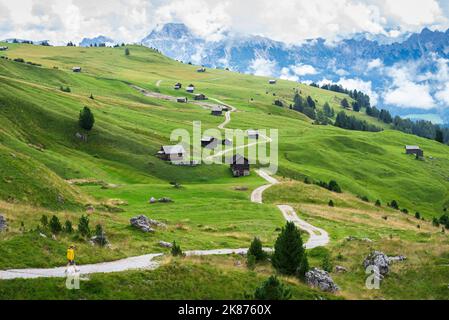 Wanderer auf dem Wanderweg zwischen grünen Feldern und Holzhütten, Sass de Putia, Passo delle Erbe, Dolomiten, Südtirol, Italien, Europa Stockfoto