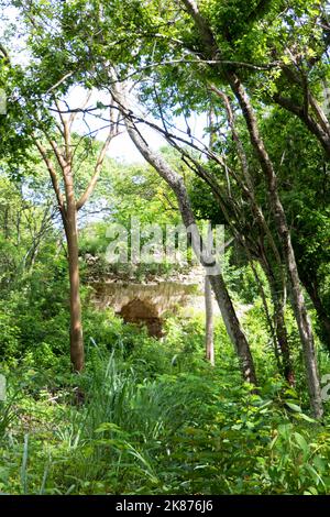 Die archäologische Stätte der Maya in Uxmal in Yucatan, Mexiko. Maya-Ruinen mit kleinem Gebäude, das vom Regenwald bedeckt ist Stockfoto