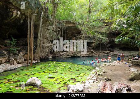Blick auf X'Batun Cenote in der Nähe von San Antonio Mulix, Yucatan, Mexiko mit Menschen im Urlaub. Touristen genießen Sommerferien und Schwimmen im kühlen Wasser Stockfoto