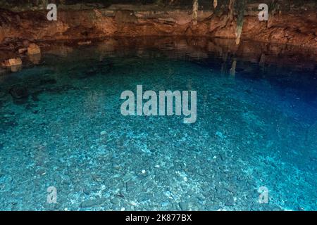 Ansicht der Kankirixche Cenote in Yucatan, Mexiko. Wunderschöne mexikanische Naturlandschaft mit Wasserloch und Felsformationen Stockfoto