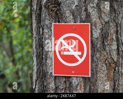 Rotes RAUCHVERBOTSSCHILD auf Baum im Freien. Verhaltensregeln und Sicherheit im öffentlichen Park. Stockfoto