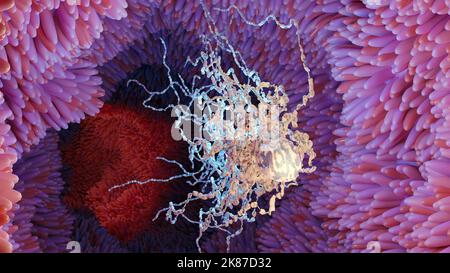 Peritriche Bakterien mit viel Flagellum, Bakterien mit langen Schwänzen und dünnen Zotten, die sich in der schwarzen Umgebung bewegen, Viren, die in der Flüssigkeit schwimmen Stockfoto