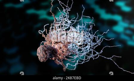 Peritriche Bakterien mit viel Flagellum, Bakterien mit langen Schwänzen und dünnen Zotten, die sich in der schwarzen Umgebung bewegen, Viren, die in der Flüssigkeit schwimmen Stockfoto