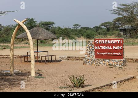 SERENGENTI PARK TANSANIA Stockfoto