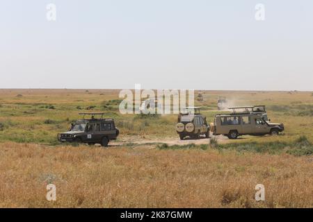 SERENGENTI PARK TANSANIA Stockfoto