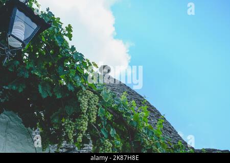 Laterne mit Trauben reifer Trauben in den italienischen Schönheiten des Dorfes Alberobello Stockfoto