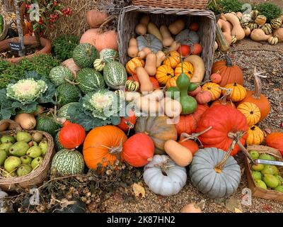 Nahaufnahme von herbstlichem Gemüse, Obst und verschiedenen Arten von cucurbita oder Kürbis, die alle im Herbst in einer Ausstellung zu sehen sind. Stockfoto